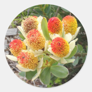 Pom-pom Flame Tips #1 Stickers