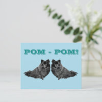 POM - POM