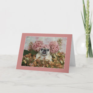 Pom Pom Pug Card