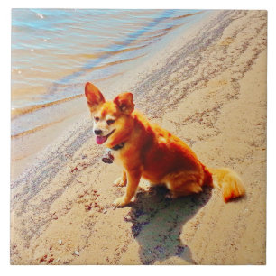 Pomchi Dog! Ceramic Tile