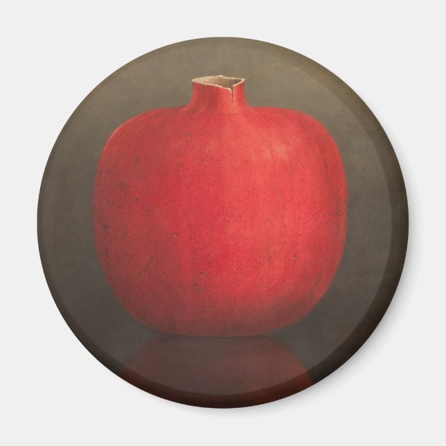 Pomegranate 2010 magnet (Front)