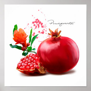Pomegranate and splatter. Watercolor illustration Poster
