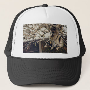 Pomegranate bonsai branches trucker hat