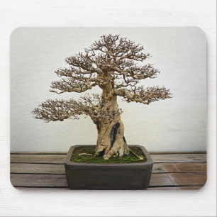Pomegranate Bonsai Tree Mouse Pad