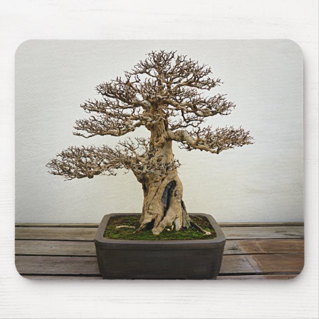 Pomegranate Bonsai Tree Mouse Pad (Front)