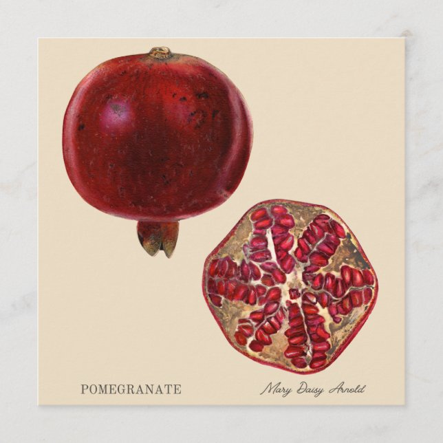 Pomegranate by Mary Daisy Arnold (Front)