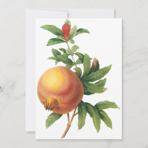 Pomegranate by Redoute Invitation