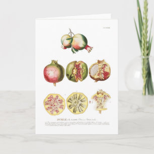 Pomegranate Card