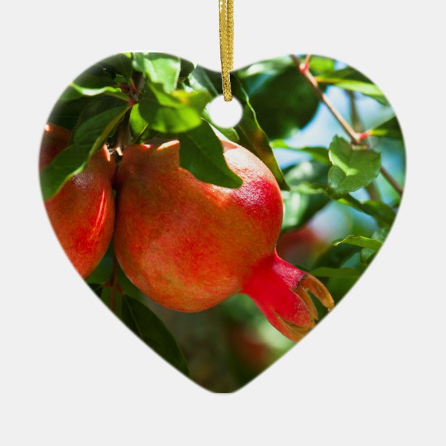 Pomegranate Ceramic Tree Decoration (Front)