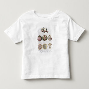 Pomegranate, engraved by Johann Jakob Haid (1704-6 Toddler T-Shirt