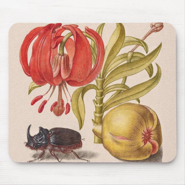 Pomegranate Flower, Fruit and Rhinoceros Beetle Mouse Pad (Front)