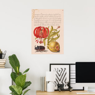 Pomegranate Flower, Fruit and Rhinoceros Beetle Poster