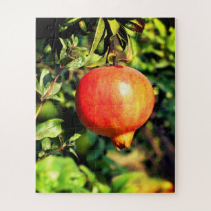 Pomegranate fruit jigsaw puzzle