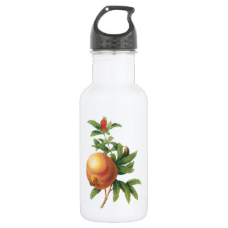 pomegranate(Grenadier punica) by Redouté 532 Ml Water Bottle