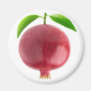 Pomegranate Magnet