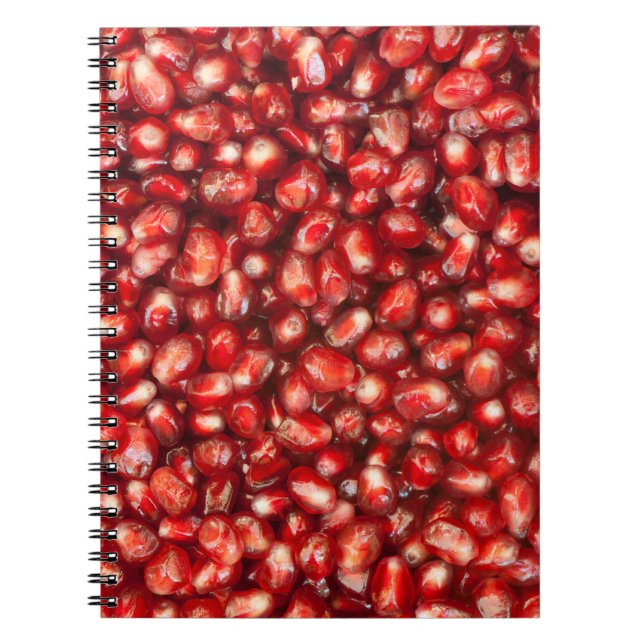 Pomegranate Notebook (Front)