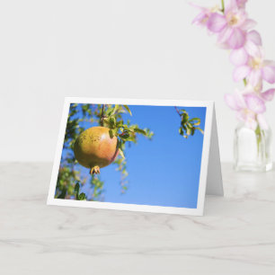 Pomegranate on Tree, Blue Sky Portrait Card