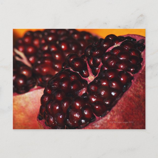 Pomegranate Postcard (Front)
