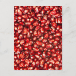 Pomegranate Postcard