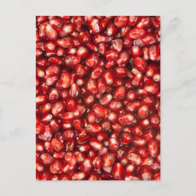 Pomegranate Postcard (Front)