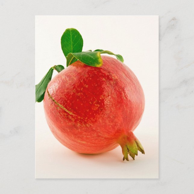 Pomegranate Postcard (Front)