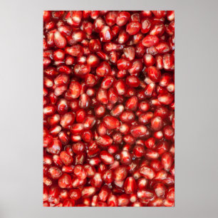 Pomegranate Poster