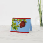 Pomegranate Rosh Hashanah Card<br><div class="desc">A lovely way to wish your family and friends to Shanah Tovah!</div>