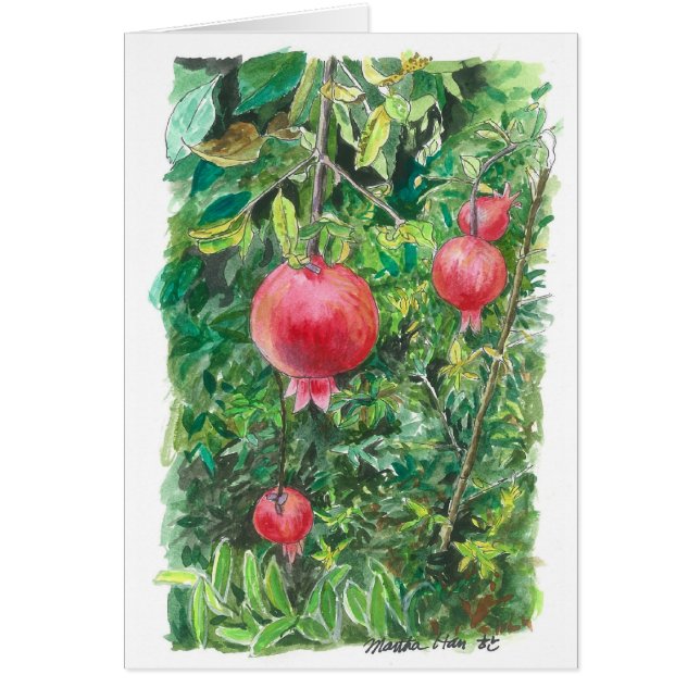 Pomegranate tree (Front)