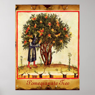POMEGRANATE TREE ANTIQUE PARCHMENT POSTER