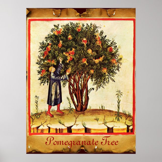 POMEGRANATE TREE ANTIQUE PARCHMENT POSTER (Front)