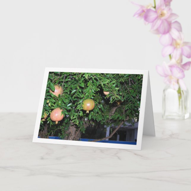 Pomegranate Tree Portrait Card (Orchid)