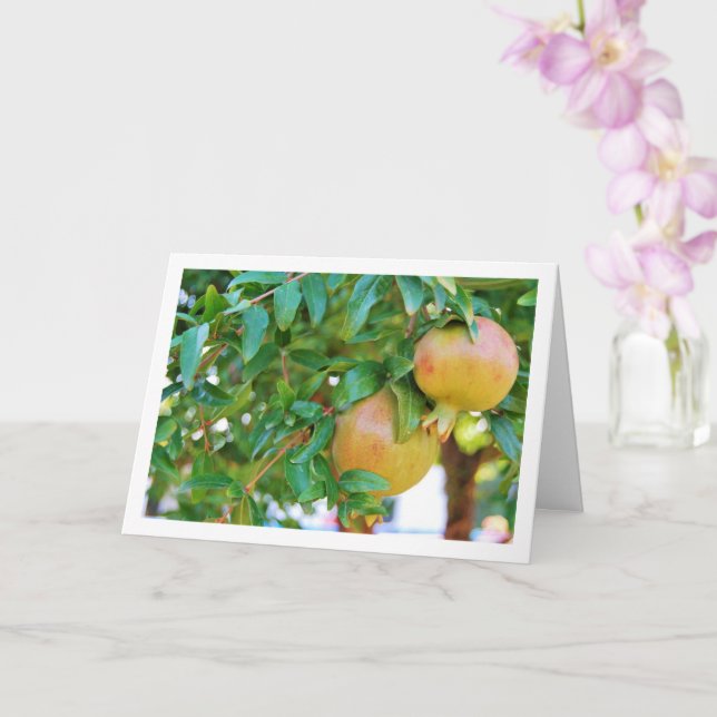 Pomegranate Tree Portrait Card (Orchid)