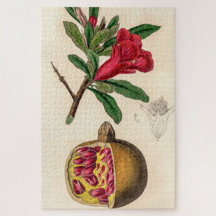 Pomegranate vintage illustration jigsaw puzzle