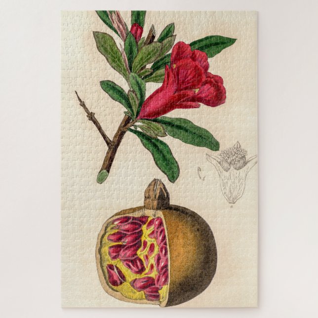 Pomegranate vintage illustration jigsaw puzzle (Vertical)