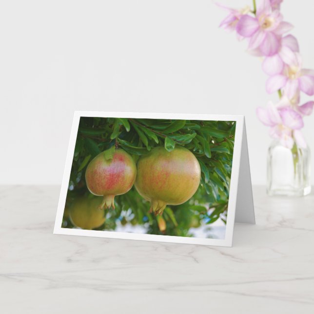 Pomegranates in Tree Portrait Card (Orchid)