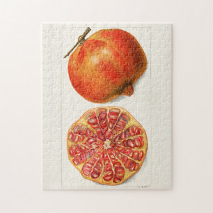 Pomegranates (Punica Granatum) Fruit Painting Jigsaw Puzzle
