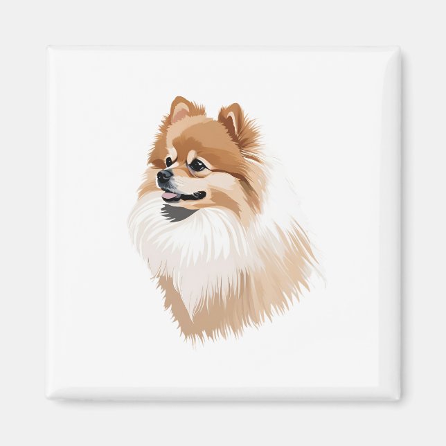 Pomerania dog illustration magnet (Front)