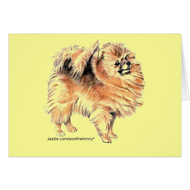 Pomeranian! (Front Horizontal)