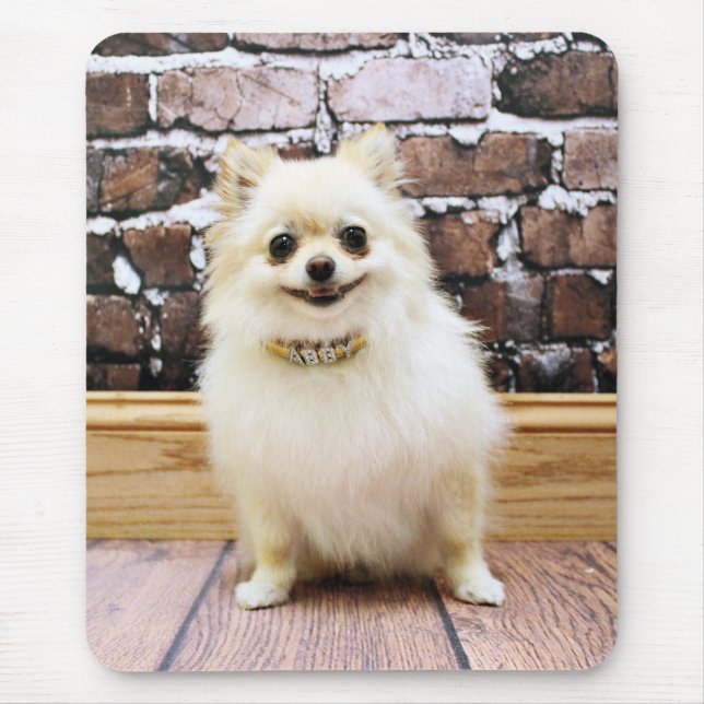 Pomeranian - Abby Vanity Collar Mouse Pad (Front)