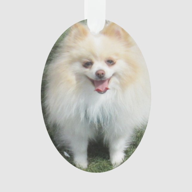 Pomeranian Acrylic Ornament (Front)