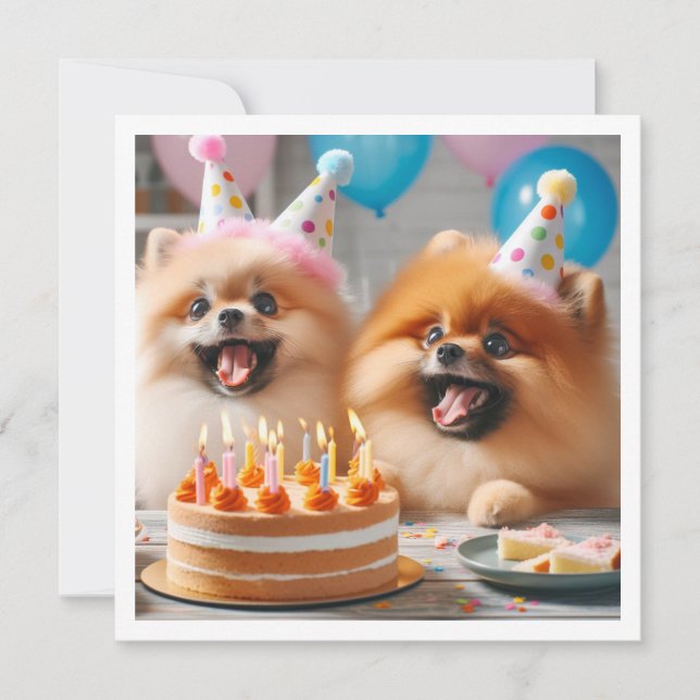 Pomeranian birthday card, Pomerania, Pomeranian Invitation (Front)