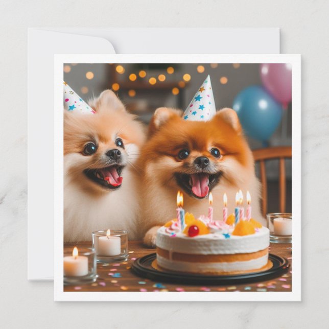 Pomeranian birthday card, Pomeranian, Pomeranian Invitation (Front)