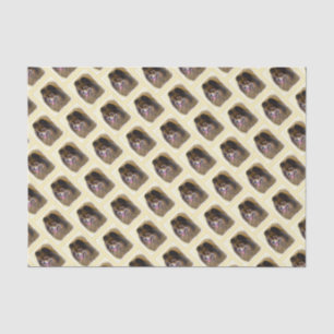 Pomeranian Black and Tan Painting Original Dog Art Tissue Paper