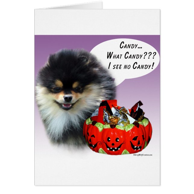 Pomeranian (blktan) Halloween Candy (Front)