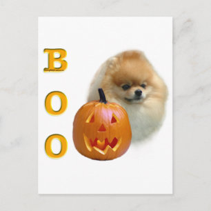 Pomeranian Boo Postcard