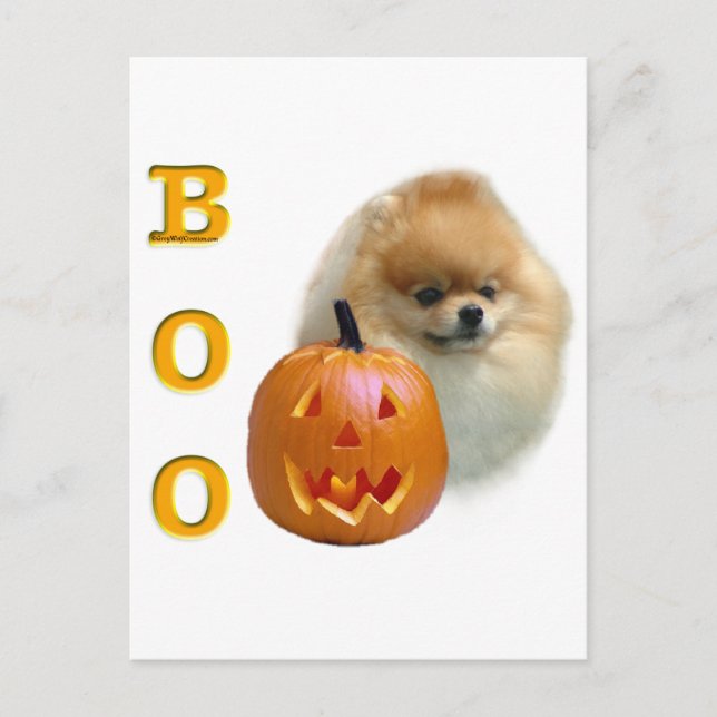 Pomeranian Boo Postcard (Front)