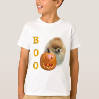 Pomeranian Boo
