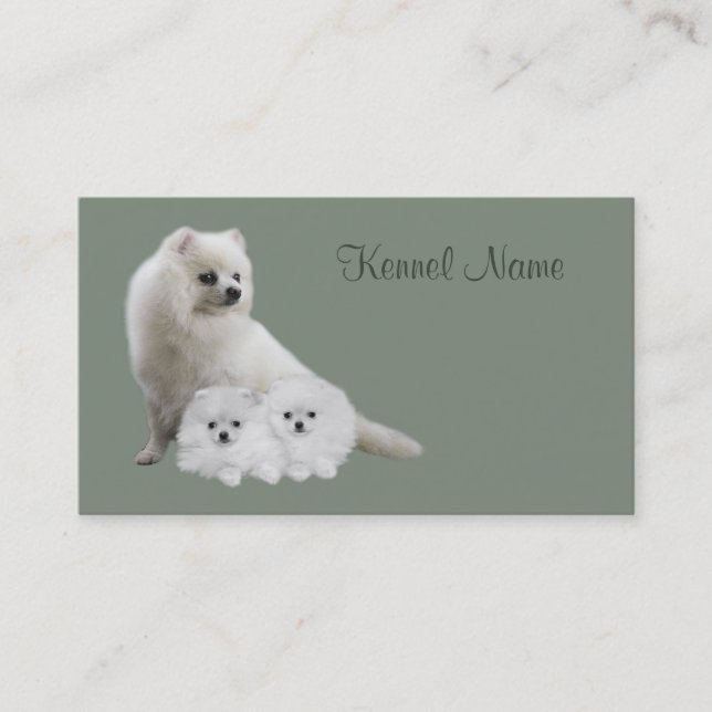Pomeranian Breeder Business Card (Front)
