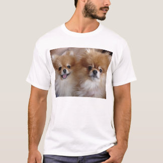 Pomeranian Buddies T-Shirt