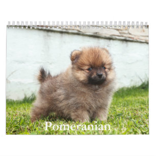 Pomeranian Calendar